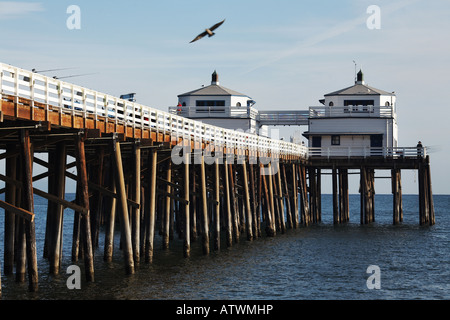 Malibu Pier avec des oiseaux de mer, sur la Pacific Coast Highway, Malibu, Los Angeles County, Californie Banque D'Images