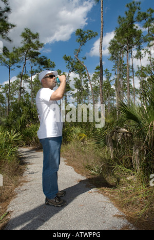 Male hiker sur le sentier de pin d'inEverglades forêt prend un verre d'une bouteille d'eau Banque D'Images