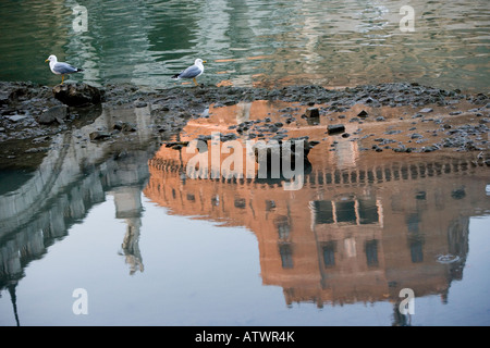 Pont, Ponte, San, Angelo, avec, rivière, Tiber, et, Castell, Sant' Angelo,, Rome, Latium, Italie, Castello, di, Angelo, Banque D'Images