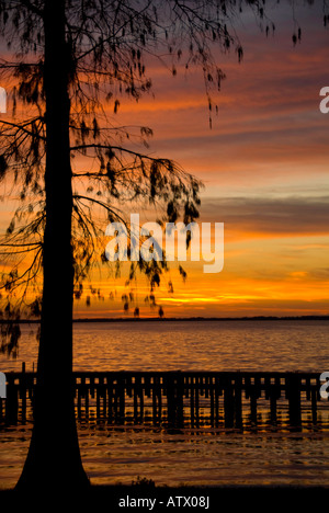 Coucher du soleil sur le lac Eustis Central Florida Banque D'Images