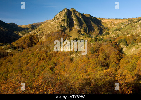 Port de Pailheres passer à l'est d'Ax les Thermes, Pyrénées françaises : Vue de la forêt des Hares Banque D'Images