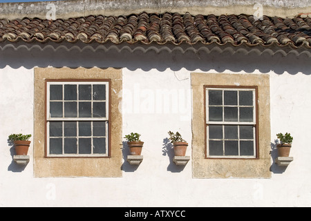 Windows fleuri Portugal Óbidos Banque D'Images
