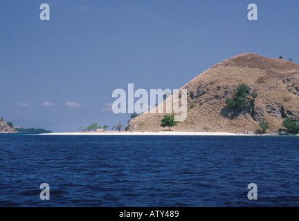 Excursion à partir de la plage en route vers Labuanbajo Pulau Rinca et Komodo Island hopping dans Nusatengarra est de l'Indonésie Banque D'Images