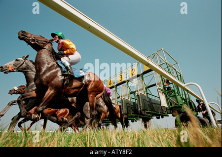 Par un nez Courses à Brighton Racecourse Banque D'Images