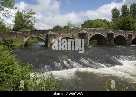 Pont sur la rivière Exe à Bickleigh, Devon Banque D'Images