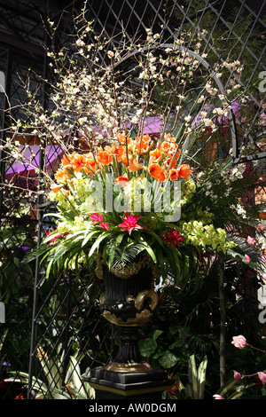 Grande urne sur socle noir avec d'énormes fleurs Philadelphia Flower Show 2008. Banque D'Images