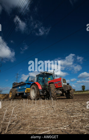 Tracteur Massey Ferguson 6170 l'épandage de fumier Banque D'Images