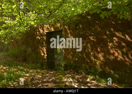 Image couleur de la porte d'un vieux bâtiment abandonné dans Glenashdale Forêt, Près de Whiting Bay, île d'Arran, Ecosse Banque D'Images