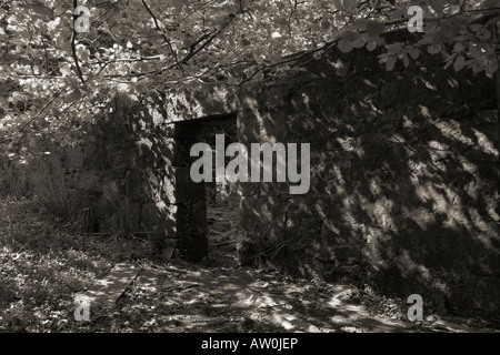 Image en noir et blanc de la porte d'un vieux bâtiment abandonné dans Glenashdale Forêt, Près de Whiting Bay, île d'Arran, Ecosse Banque D'Images