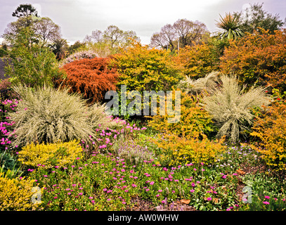 Frontière coloré de plantes dans les jardins Fitzroy Melbourne Australie Victoria Banque D'Images