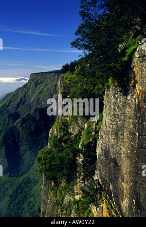 Vue vers la haute vallée de roches pilier dans Kodaikanal Hill Station sud de l'Inde Banque D'Images