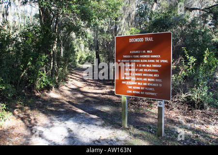 Le sentier de cornouiller au Fort Cooper State Park Inverness FL Banque D'Images