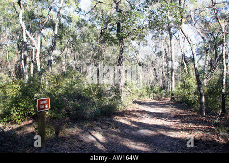 Le sentier de cornouiller au Fort Cooper State Park Inverness FL Banque D'Images