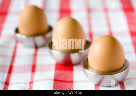 Trois oeufs dans leur eggholders dans une rangée Banque D'Images
