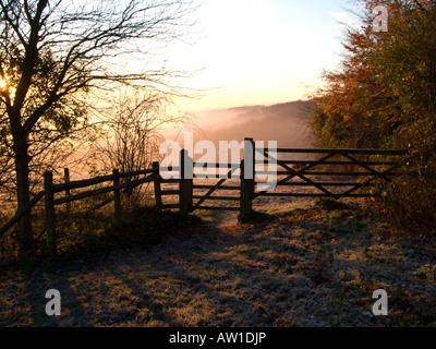 Streatley hill montée du soleil sur Matin brumeux Banque D'Images