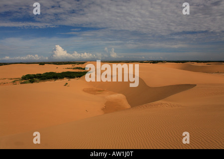 Sandwüste Südamerika Venezuela Istmo de Médanos Isthmus Banque D'Images