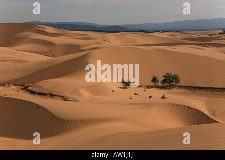 Sandwüste Südamerika Venezuela Istmo de Médanos Isthmus Banque D'Images