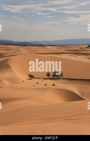 Sandwüste Südamerika Venezuela Istmo de Médanos Isthmus Banque D'Images