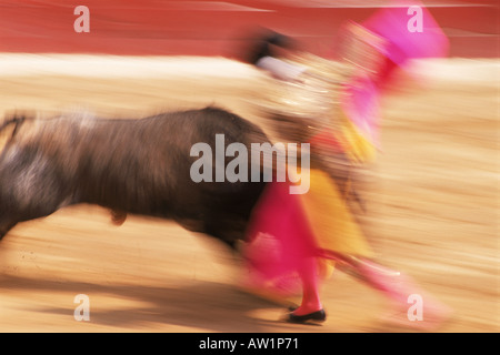 Bull et corne tout manque au cours de matador corrida Banque D'Images