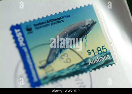 185 timbres australiens représentant une baleine australe UK Banque D'Images