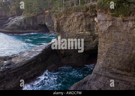 La côte du cap Flattery, Washington, USA Banque D'Images