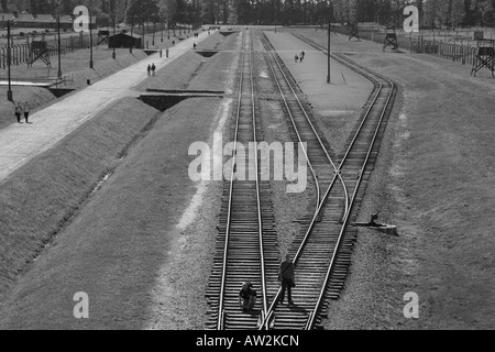 Les voies ferrées dans l'ancien camp de concentration Nazi à Auschwitz Birkenau, Oswiecim, Pologne. Banque D'Images