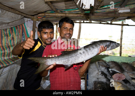 Poissonnier holding poissons de grande taille, fort Cochin, Cochin, Kerala, Inde Banque D'Images