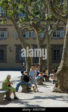 Les visiteurs et les gens assis à l'ombre des arbres étêtés à la Piazza Napoleone Lucca Toscane Italie Banque D'Images