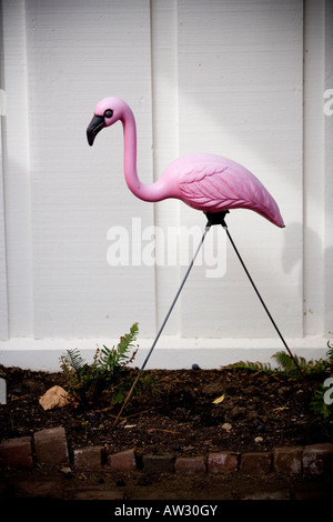 Plastique, flamand rose en face de mur blanc. Banque D'Images