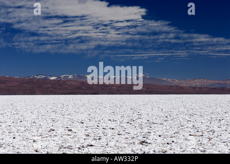 Salar de Arizaro, Tolar Grande, Province de Salta, Argentine, Amérique du Sud Banque D'Images