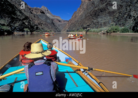 Shawn Browning rangées le long de la rivière, Grand Canyon, Arizona Banque D'Images