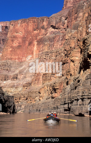Le projet de loi 'Bronco' lignes Bruchak en aval de la rivière, Grand Canyon, Arizona Banque D'Images