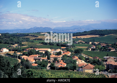 Avis de Chateauneuf-du-Pape, Provence, France Banque D'Images