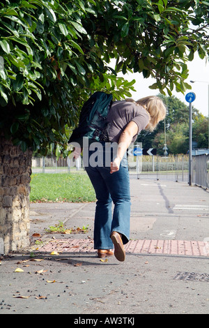 Les arbres obstruent le sentier Banque D'Images