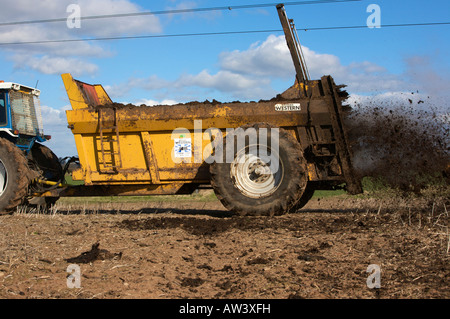 L'épandage de fumier de tracteur Banque D'Images