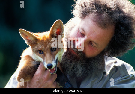 À la recherche de bénévoles après une fox à un centre de sauvetage des animaux à sang froid animaux animaux animaux en Grande-Bretagne Canidés canidés c Banque D'Images