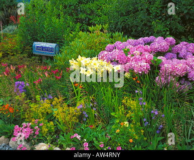 Boîte aux lettres de mosaïques par artiste Elaine Summers promettant des lettres d'amour dans un lit de jardin de vivaces d'été dans un chalet jardin Banque D'Images