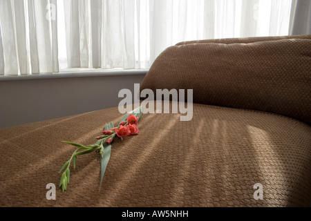 Chaise longue avec des fleurs doucement éclairée par la lumière de la fenêtre Banque D'Images