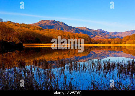 LOCHEN À LOCH LOMOND EN AUTOMNE Banque D'Images