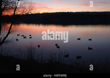 Une soirée Sur Tittisworth,Réservoir dans le Staffordshire en Angleterre. Banque D'Images