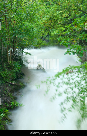 Stockghyll Beck dans une inondation, Ambleside, Lake District, Cumbria, Royaume-Uni Banque D'Images