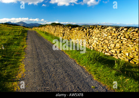 L'Angleterre, Cumbria, Parc National de Lake District. Cumbria Way la voie allant du Gawthwaite Stennerley vers les hautes. Banque D'Images