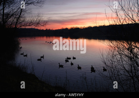 Une soirée Sur Tittisworth,Réservoir dans le Staffordshire en Angleterre. Banque D'Images