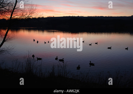 Une soirée Sur Tittisworth,Réservoir dans le Staffordshire en Angleterre. Banque D'Images