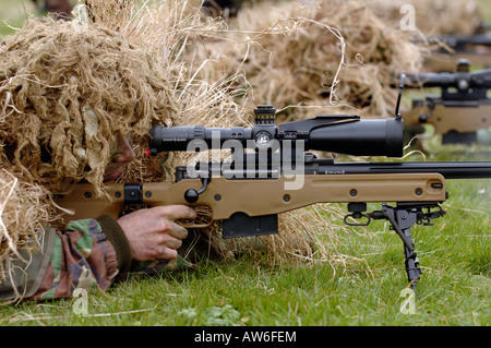 Fantassin britannique avec un fusil de précision longue portée G115A3 qui a une capacité de tuer plus d'un mille. Banque D'Images