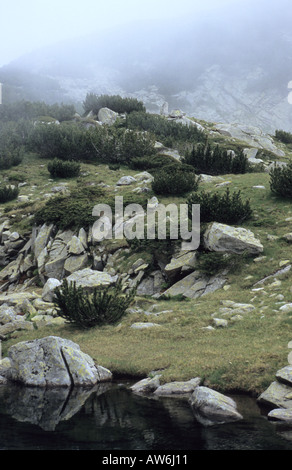 Paysage rocheux Valjavishko dans la région du lac Parc national de Pirin Bulgarie Banque D'Images