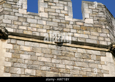 Les gargouilles sur le château de Windsor, en Angleterre. Banque D'Images