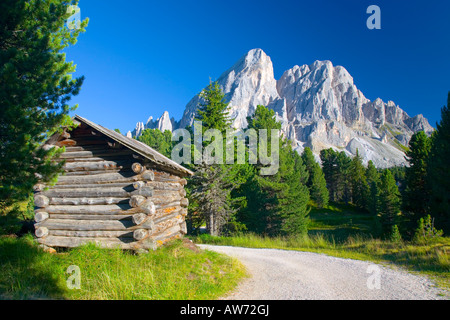 Le Passo delle Erbe, Trentino-Alto Adige, Italie. Afficher le long de piste en forêt à la crête de sas de Putia, log cabin en premier plan. Banque D'Images