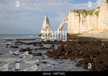 Etretat, Normandie, France. Vue de l'aiguille et la falaise d'Aval du rivage à marée basse. Banque D'Images