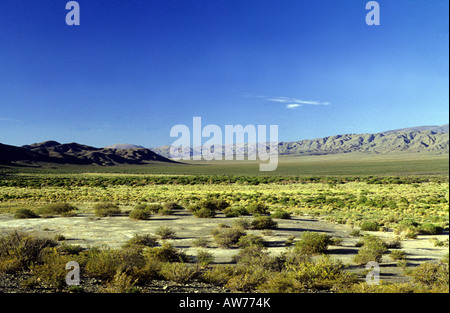 Vue de la steppe dans El Leoncito Réserver Banque D'Images